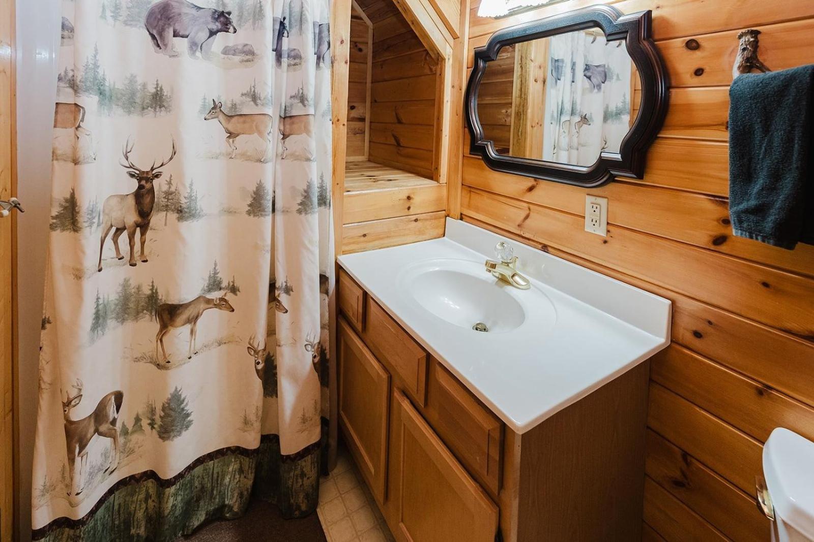 A Dream Come True Cabin Севьервилл Экстерьер фото