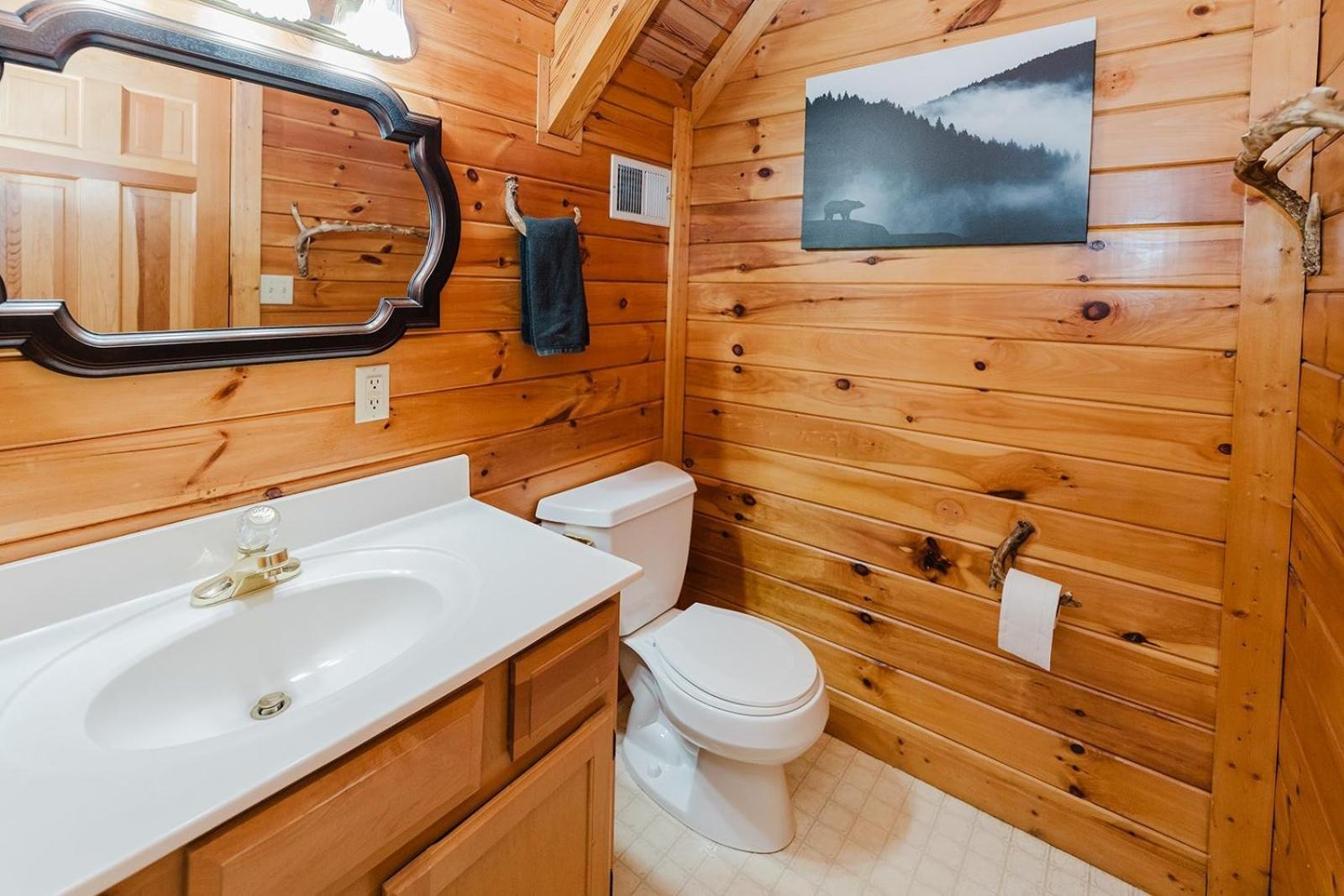 A Dream Come True Cabin Севьервилл Экстерьер фото